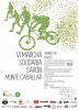 VI Marcha solidaria