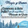 Magia y Humor con el Mago Patxi