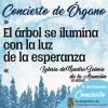 Concierto de Organo